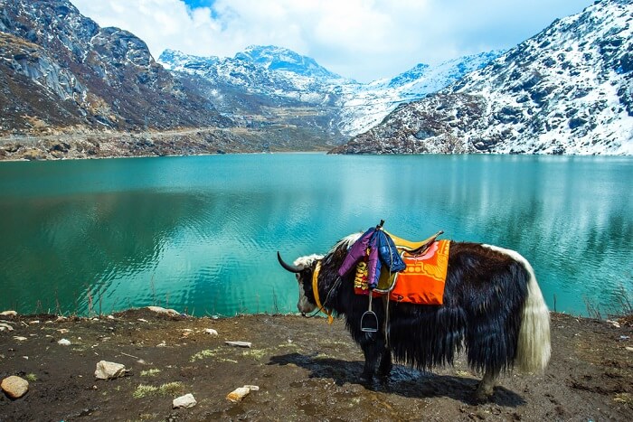 Things to do in Sikkim