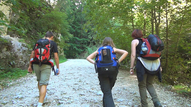 Trek through the Dense Forests