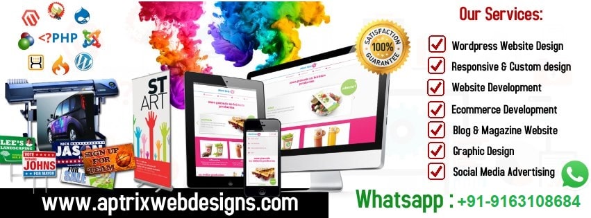 website designer india